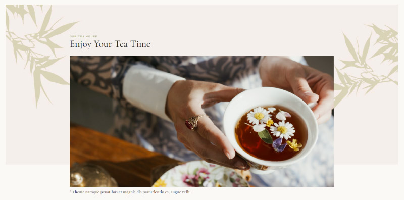 Chaai WordPress Theme section