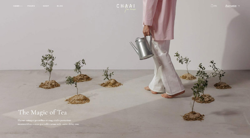 Chaai WordPress Theme