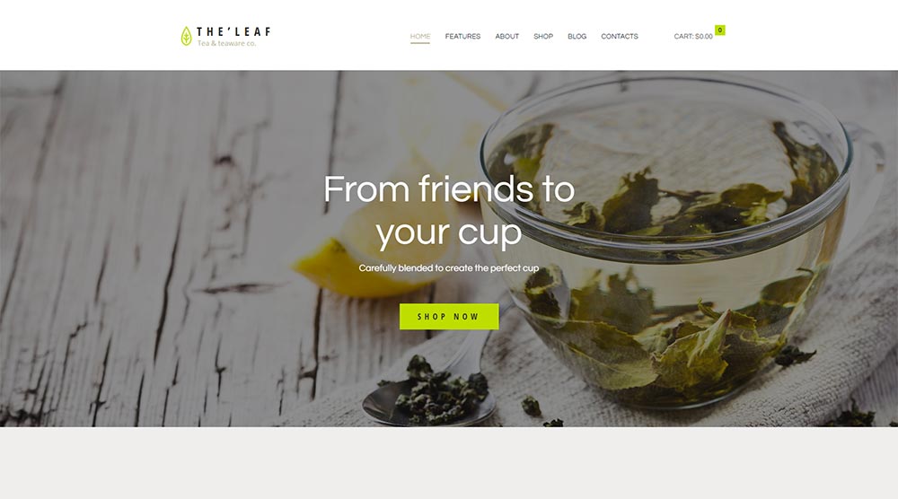 TheLeaf WordPress Theme