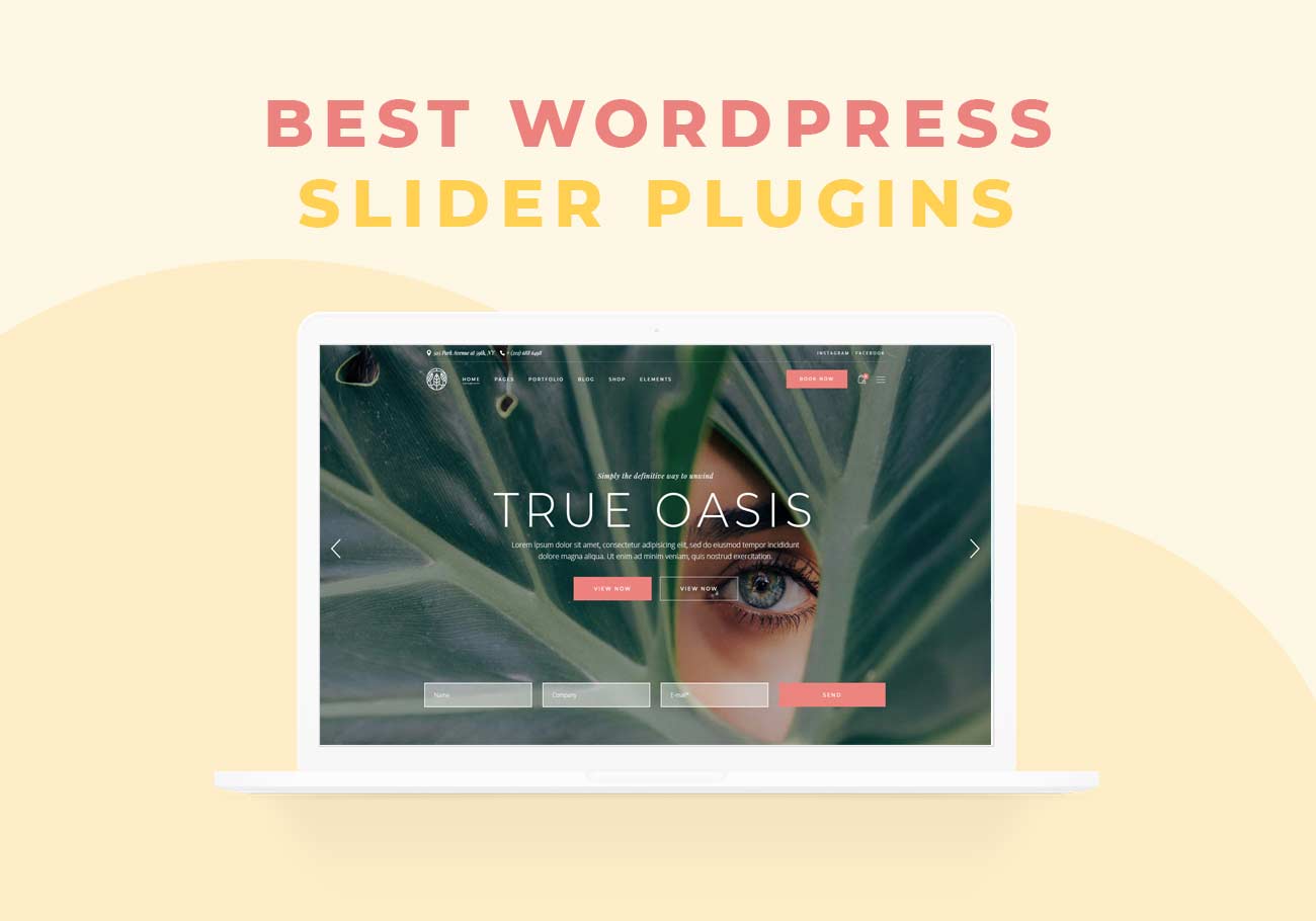 5 Best WordPress Slider Plugins for Beginners & Professionals