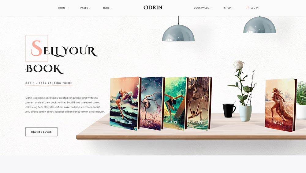 Odrin WordPress Theme