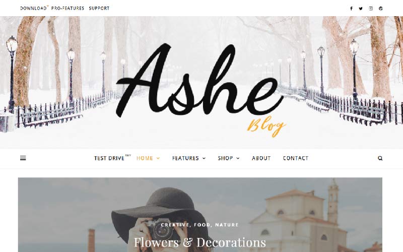 Ashe WordPress Theme