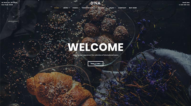 Dina WordPress Theme