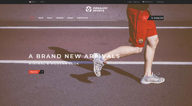 Ornaldo WordPress Theme