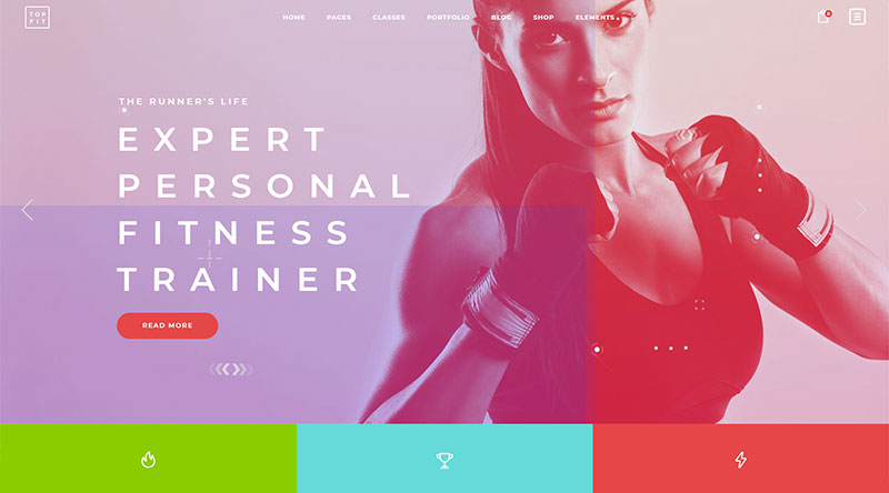 TopFit WordPress Theme