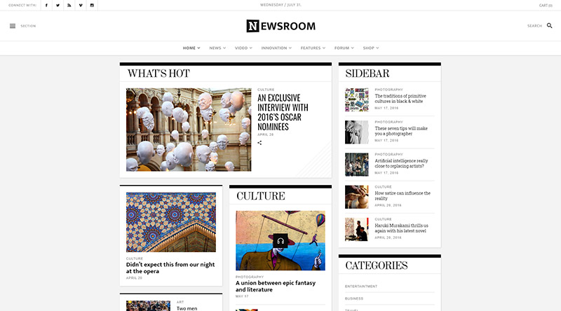 Newsroom WordPress Theme