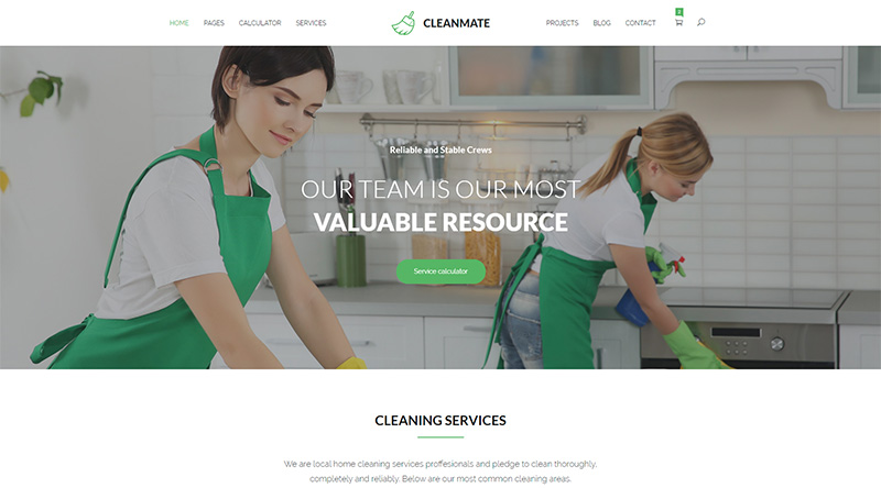 CleanMate WordPress Theme