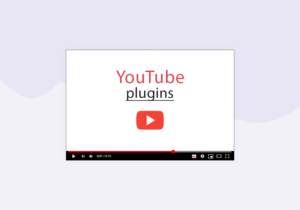 5  Picture-Perfect WordPress YouTube Plugins 2021 - WPKlik