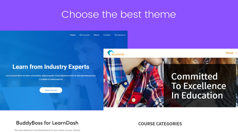 Choosing a Suitable Theme to Compliment Your Online School