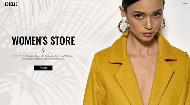 Clothing Store - Thème WordPress