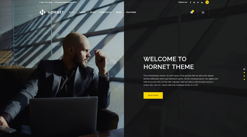 Hornet WordPress Theme