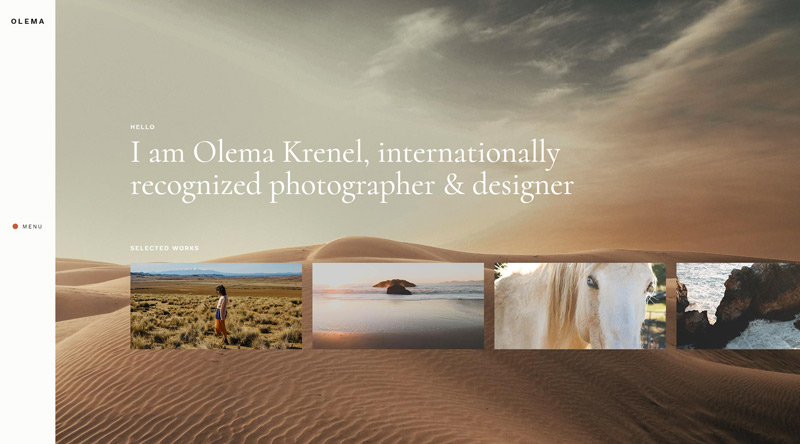 Olema Photo Gallery WP theme