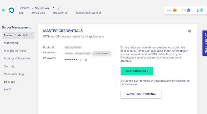 Cloudways Hosting Server Management Panel