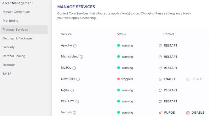 Cloudways Hosting Performance