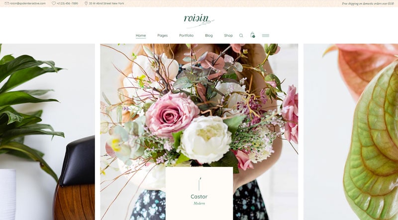 Roisin WP Theme