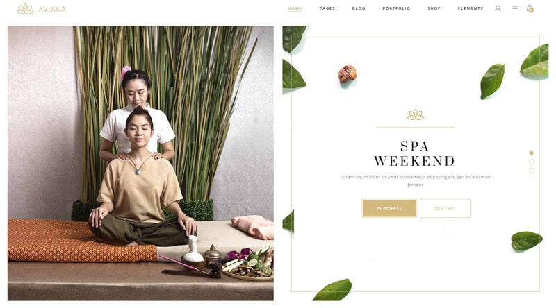 Aviana Massage WordPress theme