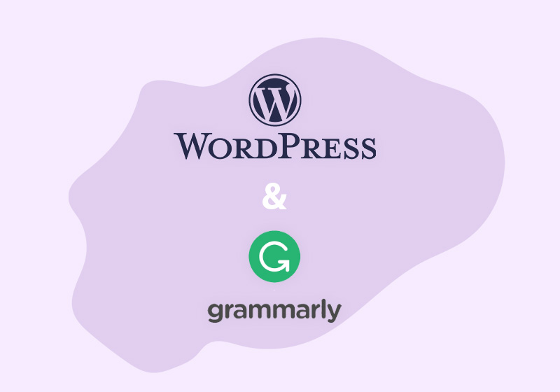 How to Use Grammarly for WordPress to Level up Content