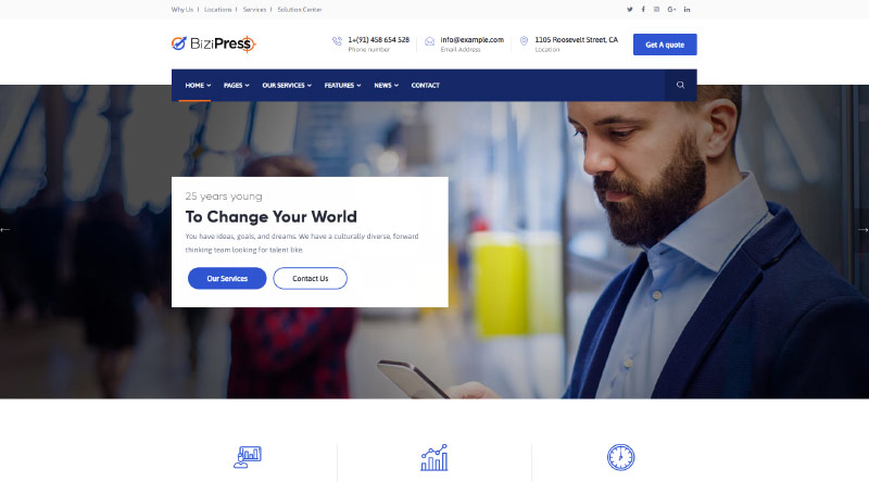 BiziPress WordPress Theme