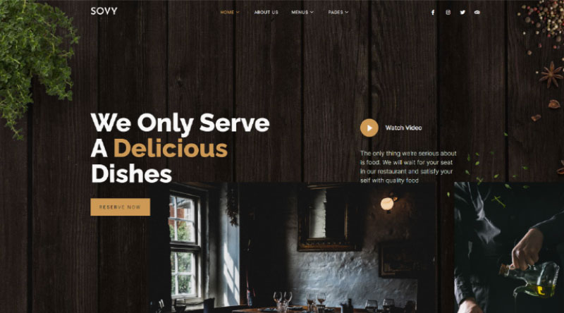 Sovy WordPress Theme